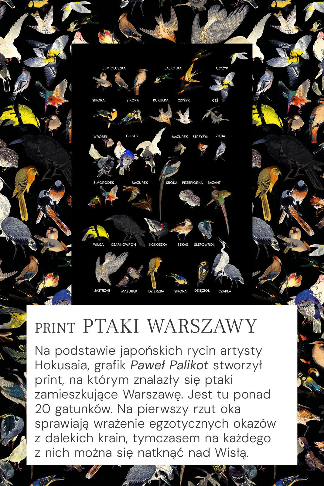 Print Ptaki Warszawy – kolorowy wzór z ponad 20 gatunkami ptaków, inspirowany japońskimi rycinami