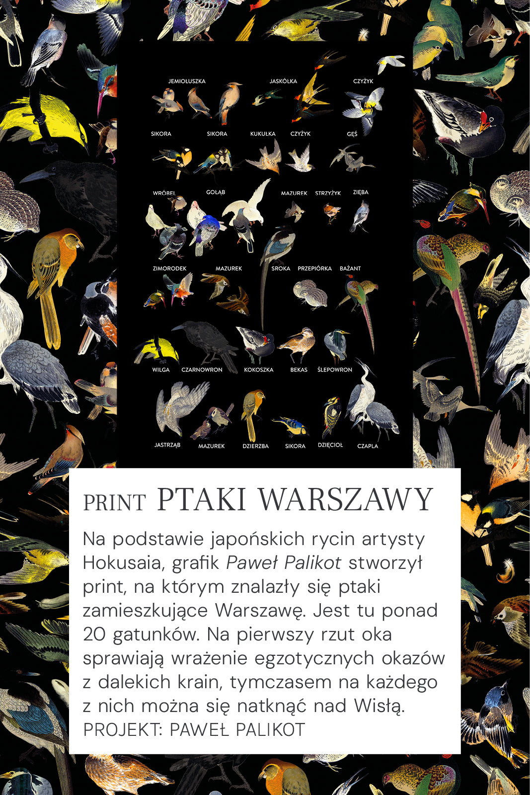 PETARDA mini Warsaw birds print 