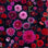 print dahlias