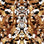 print Rorschach desert